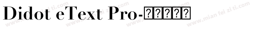 Didot eText Pro字体转换